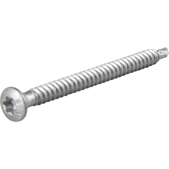 ESSVE 545406 Takskruv 4,8 mm Ø, BS, TX25, ruspert 60 mm, 500-pack